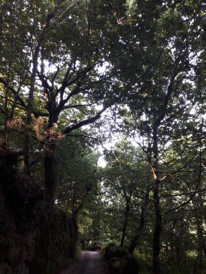 Quinta Da Casa Matilde - Nature House 吉尔斯 外观 照片